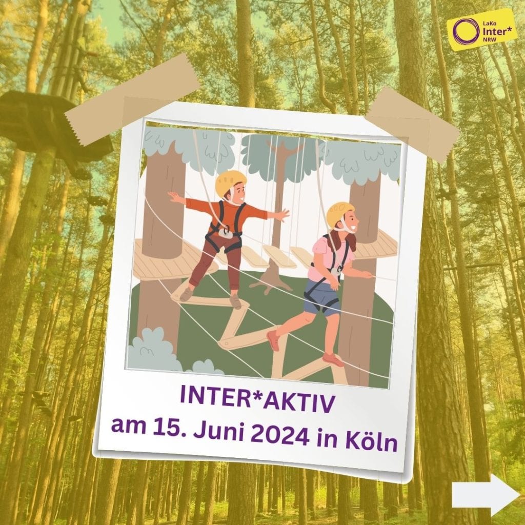 inter*aktiv Hochseilgarten 15. Juni 2024